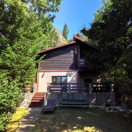 Mountain Family Chalet On Prahova Valley Comarnic Exteriér fotografie