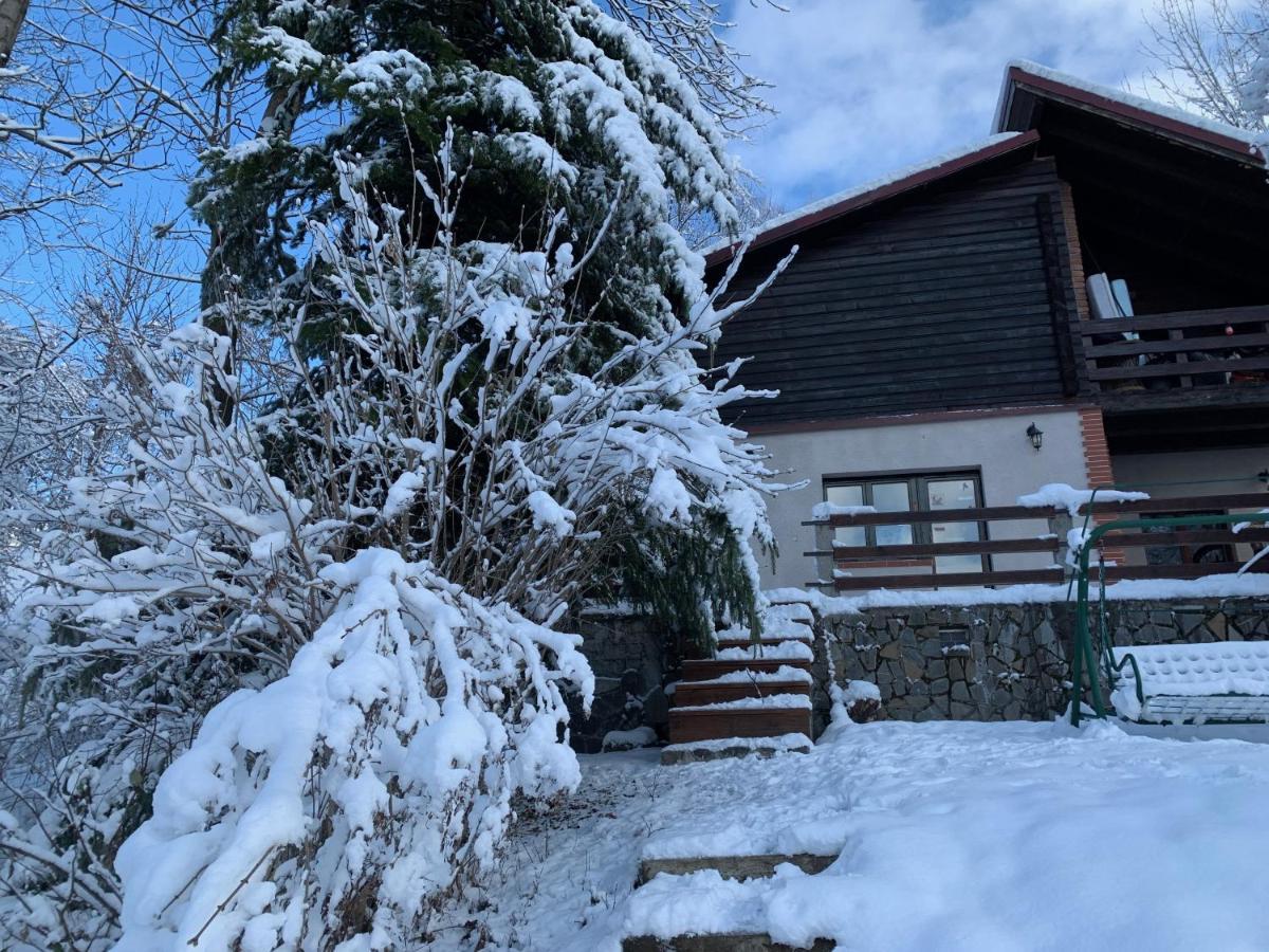 Mountain Family Chalet On Prahova Valley Comarnic Exteriér fotografie