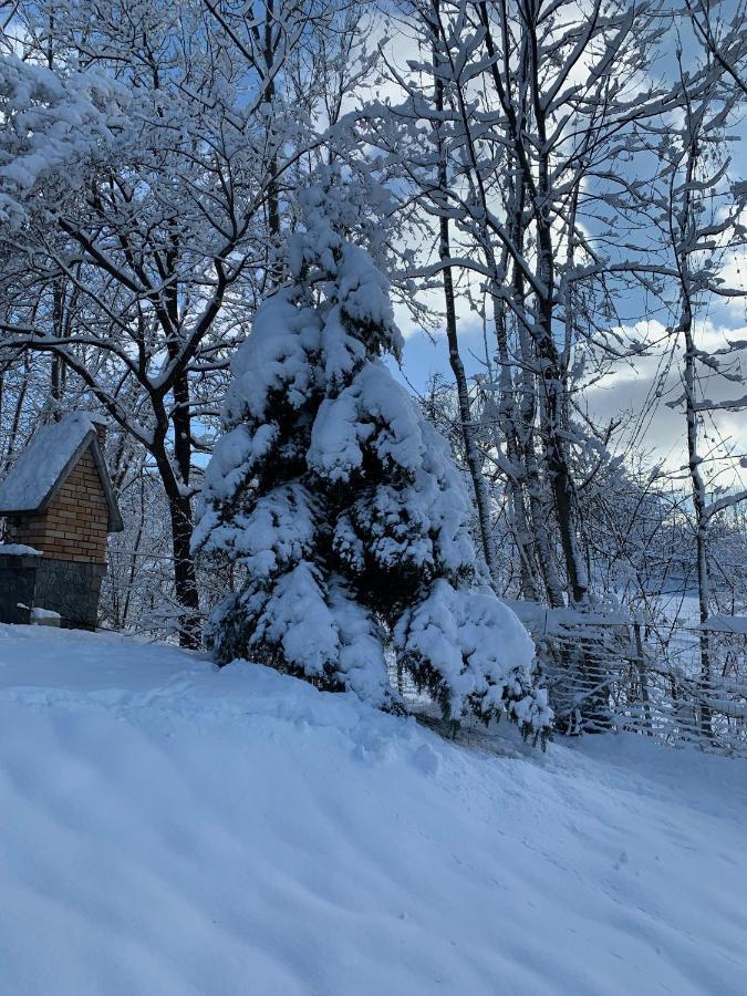 Mountain Family Chalet On Prahova Valley Comarnic Exteriér fotografie