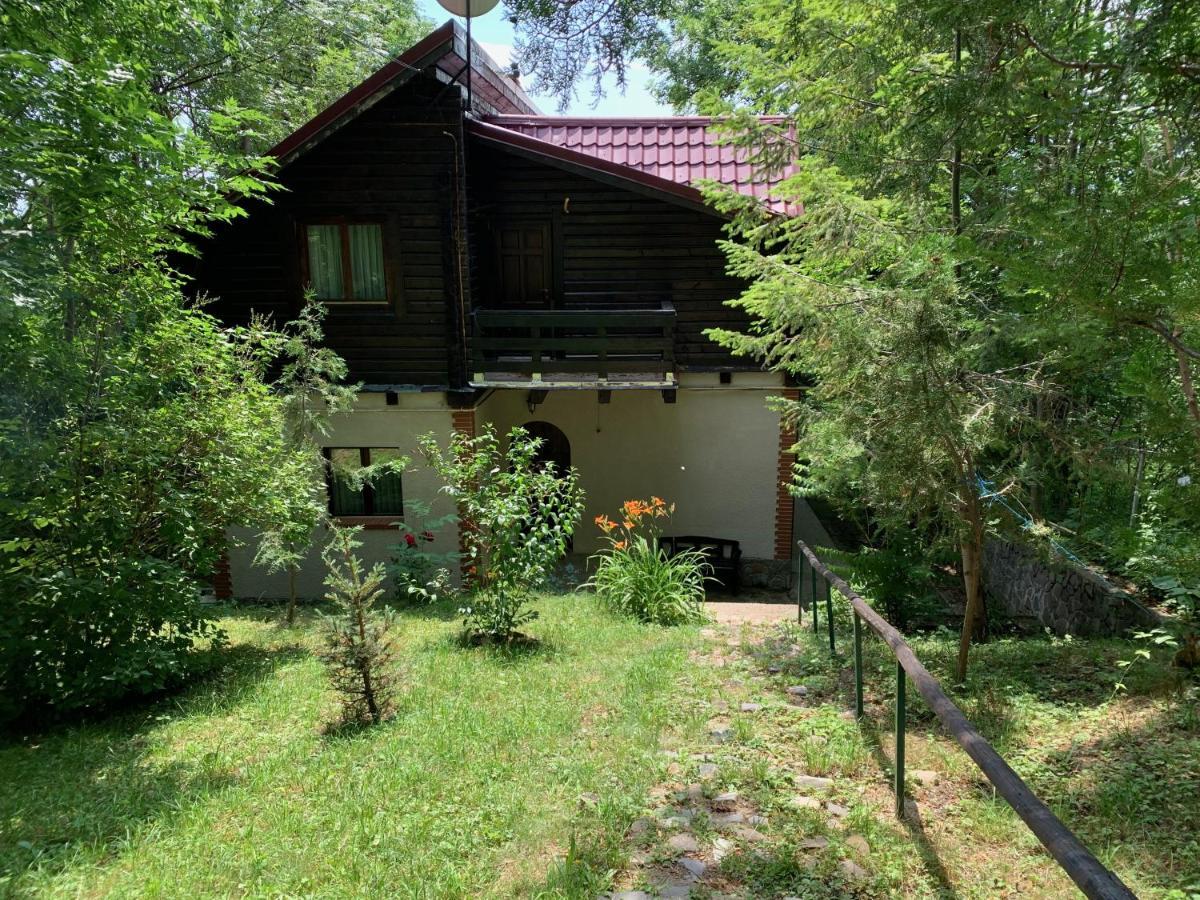 Mountain Family Chalet On Prahova Valley Comarnic Exteriér fotografie
