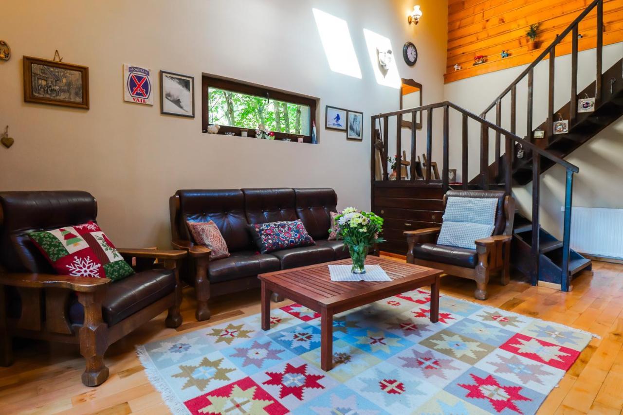 Mountain Family Chalet On Prahova Valley Comarnic Exteriér fotografie