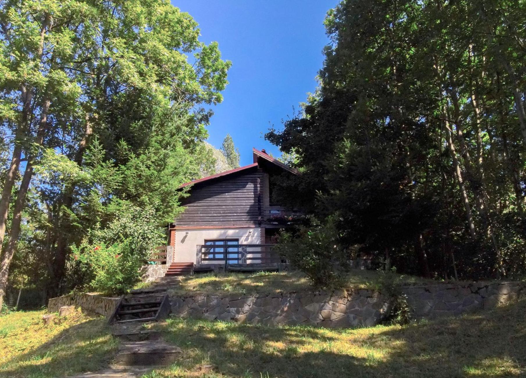 Mountain Family Chalet On Prahova Valley Comarnic Exteriér fotografie