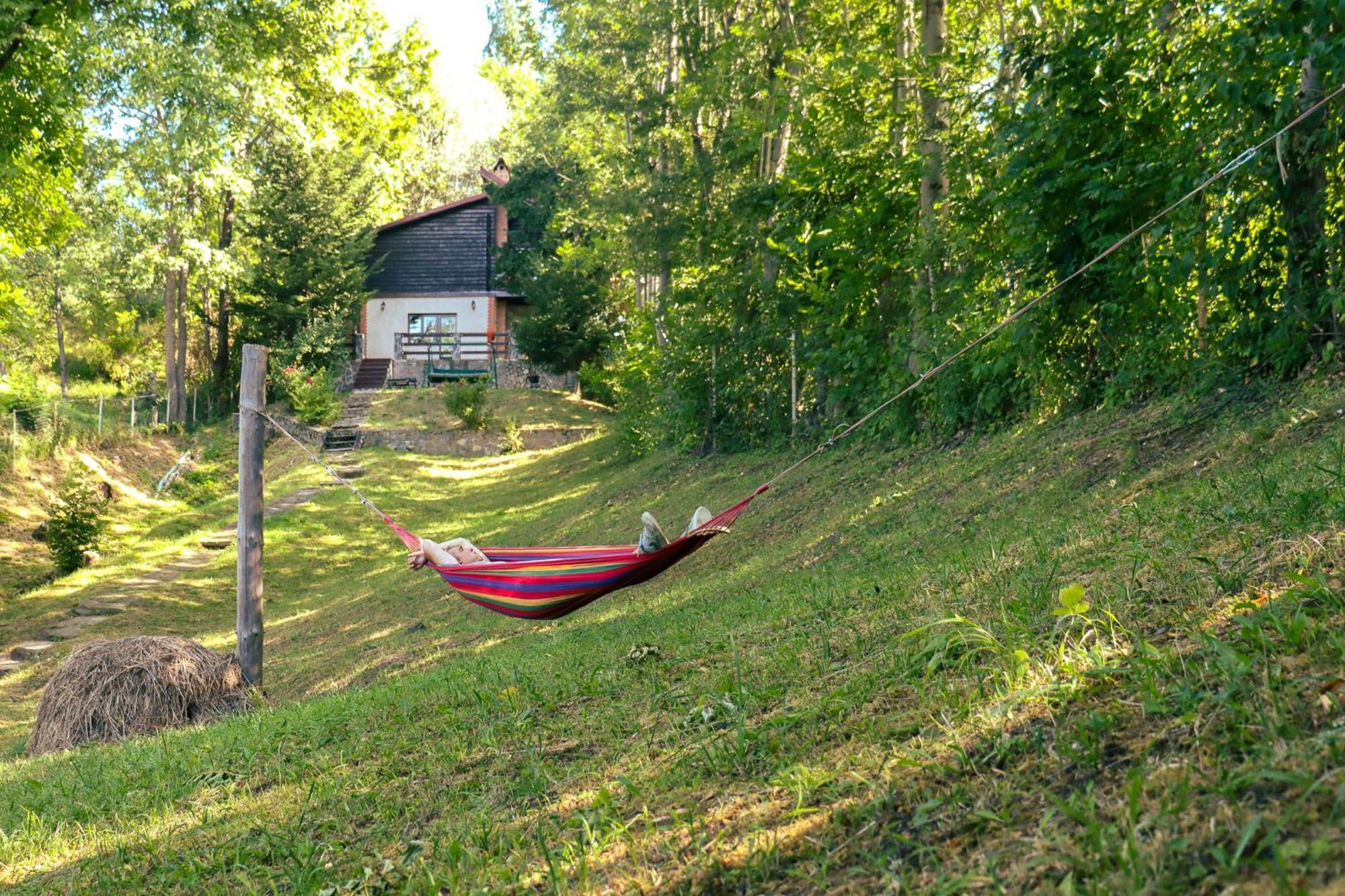 Mountain Family Chalet On Prahova Valley Comarnic Exteriér fotografie
